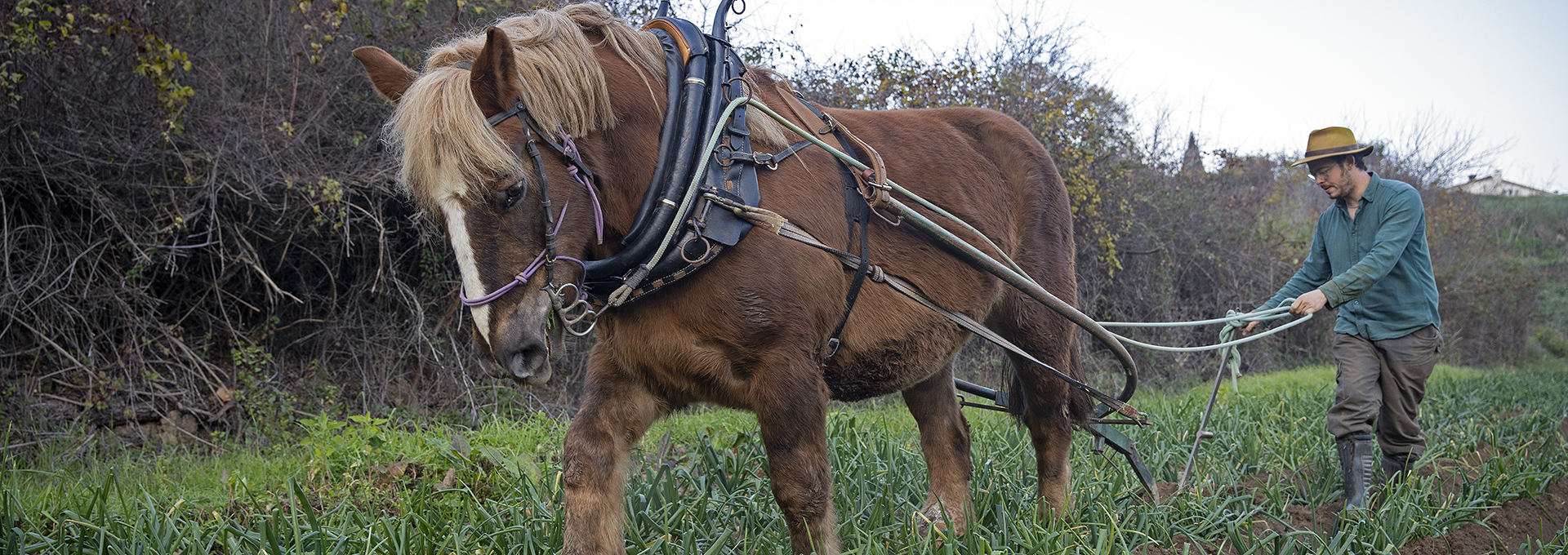 Pol Dunyó, El Mosaic. PATXI URIZ | DIPUTACIÓ DE BARCELONA