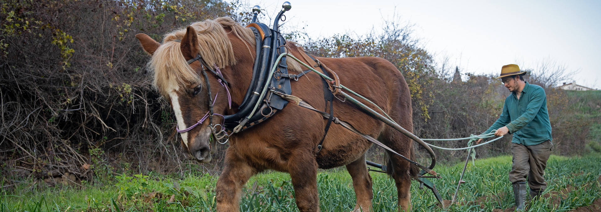 El Turó d'en Rompons, Orrius. PATXI URIZ | DIPUTACIÓ DE BARCELONA
