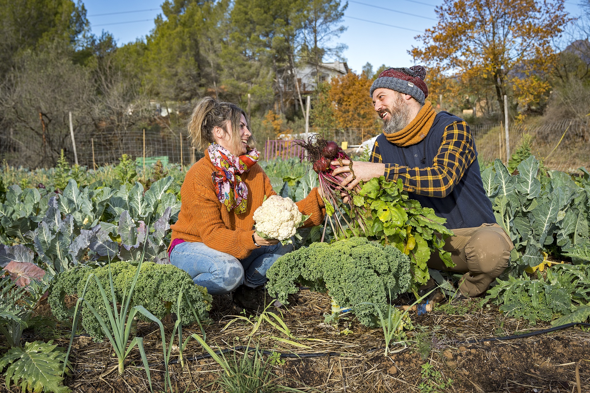 Banc de terres del PRM. PATXI URIZ | DIPUTACIÓ DE BARCELONA