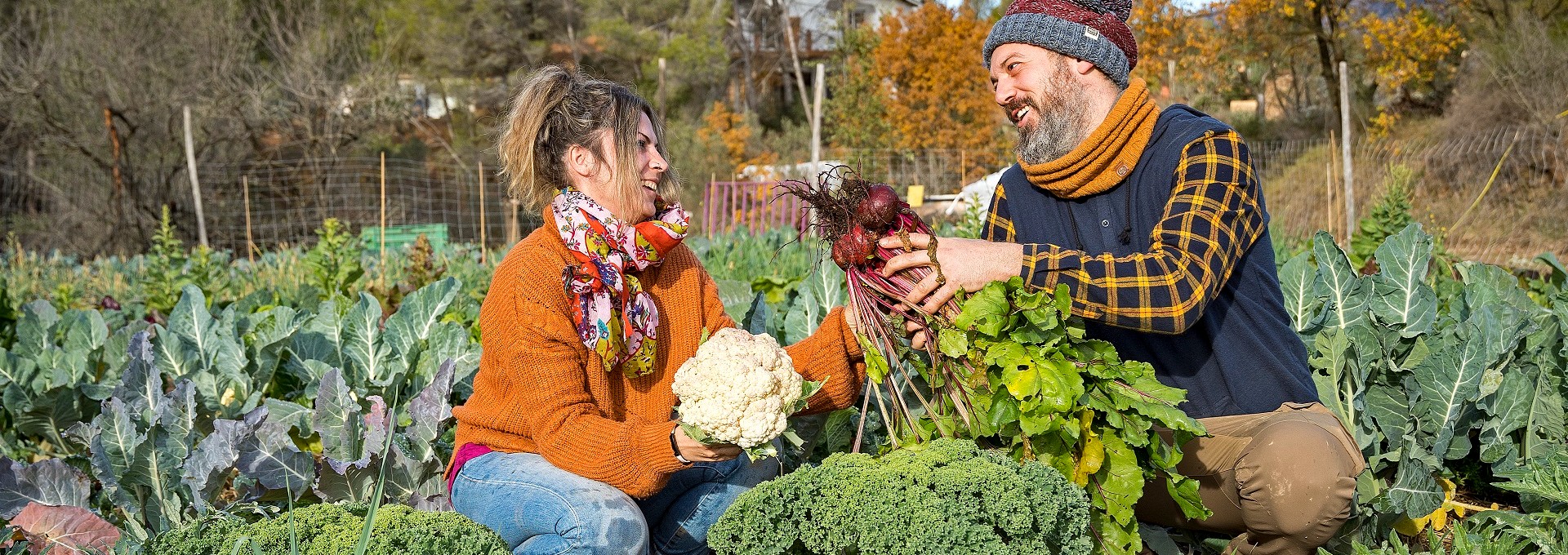 Banc de terres del PRM. PATXI URIZ | DIPUTACIÓ DE BARCELONA