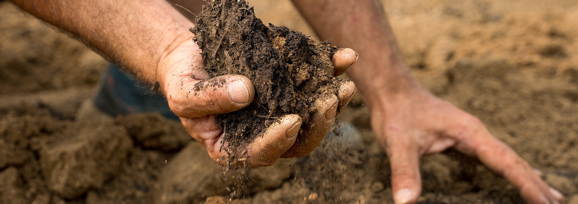 L'Hort d'en Dídac, Mataró. PATXI URIZ | DIPUTACIÓ DE BARCELONA