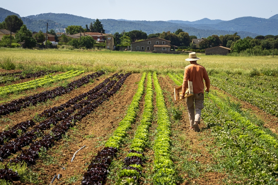 Marçal Parera, Cal Cerdà. PATXI URIZ | DIPUTACIÓ DE BARCELONA