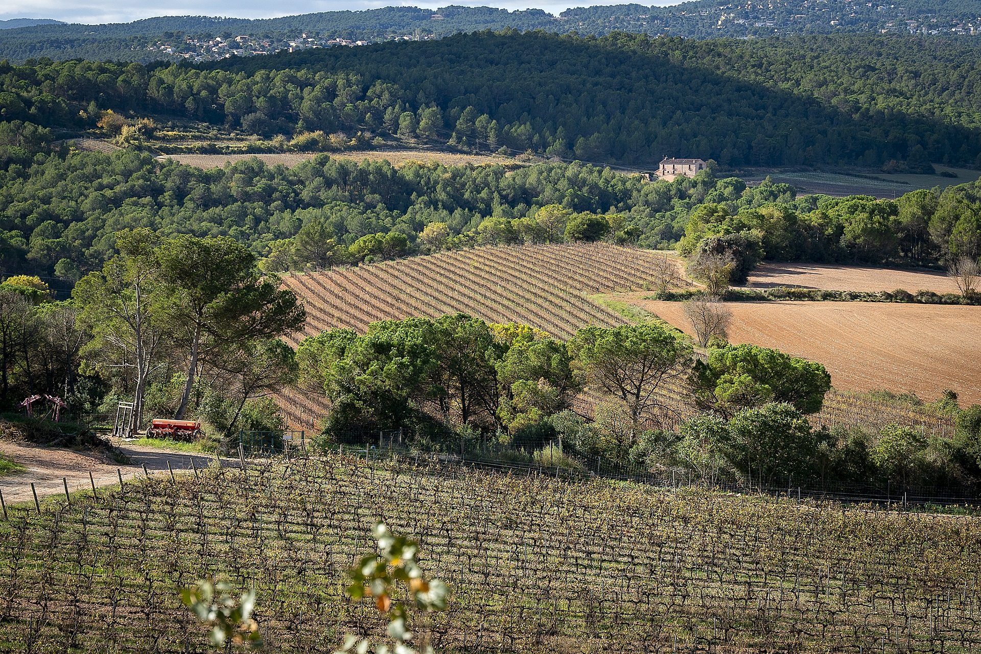 La Torre de Claramunt, Parc Agrari de la Conca d'Òdena. PATXI URIZ | DIPUTACIÓ DE BARCELONA