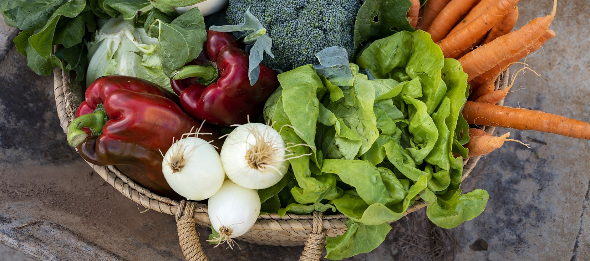 Productes d'horta. PATXI URIZ | DIPUTACIÓ DE BARCELONA