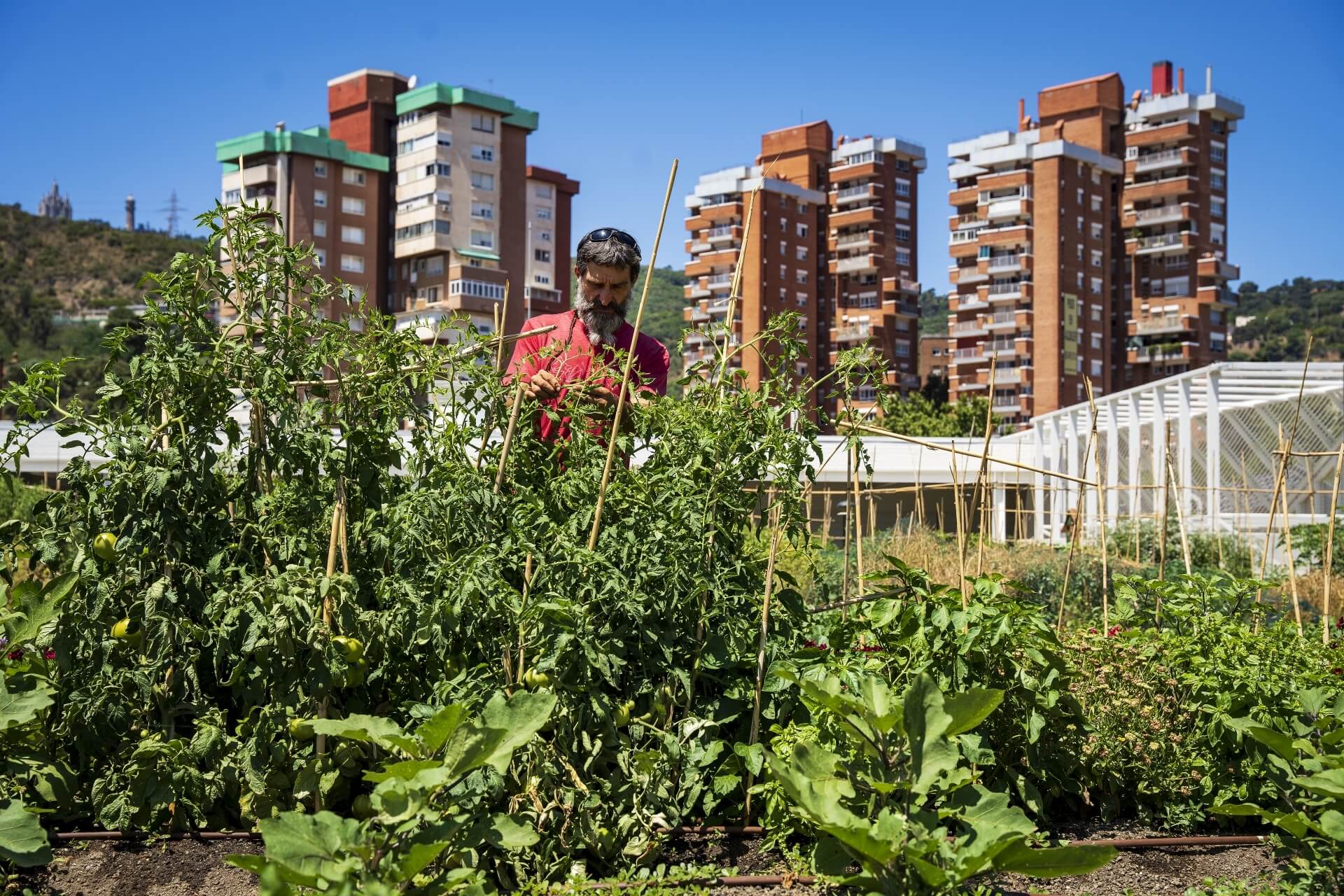 Barcelones_PatxiUriz_HortMercatValld`Hebron_PereTodo