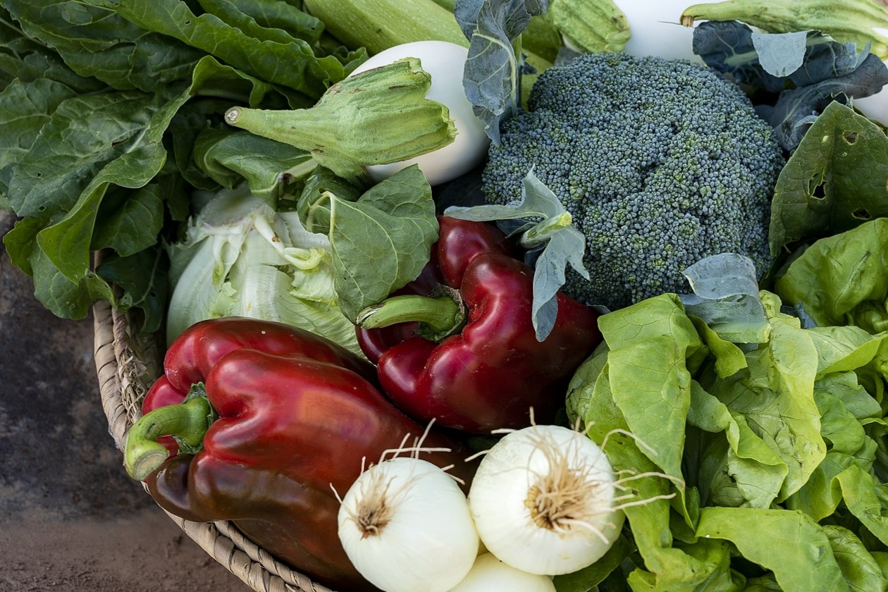 Cistella de verdures de la finca Les Arnaules. PATXI URIZ | DIPUTACIÓ DE BARCELONA