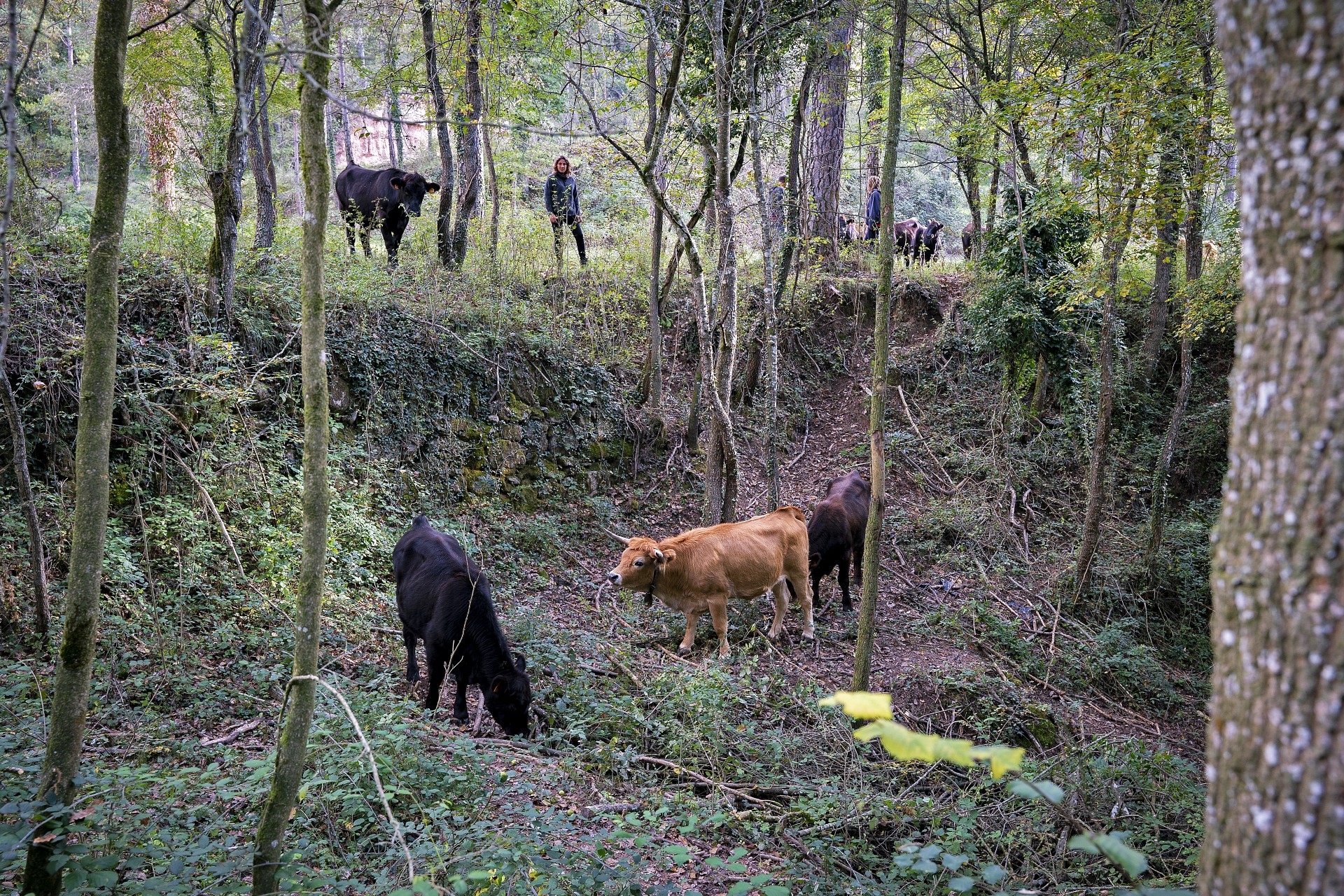 Mercè Oms, La Casanova. PATXI URIZ | DIPUTACIÓ DE BARCELONA