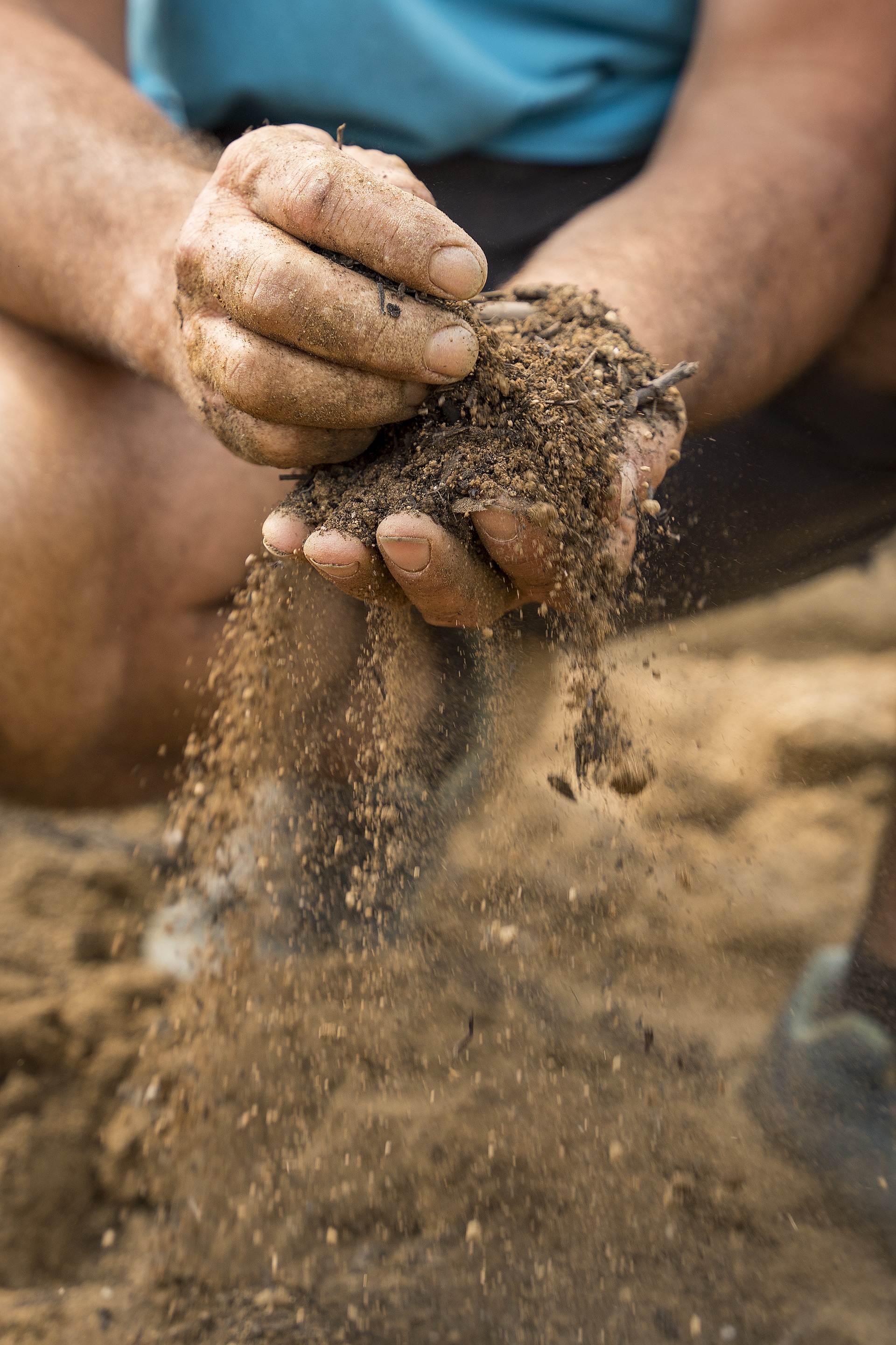 Espai Agrari de Mataró. PATXI URIZ | DIPUTACIÓ DE BARCELONA