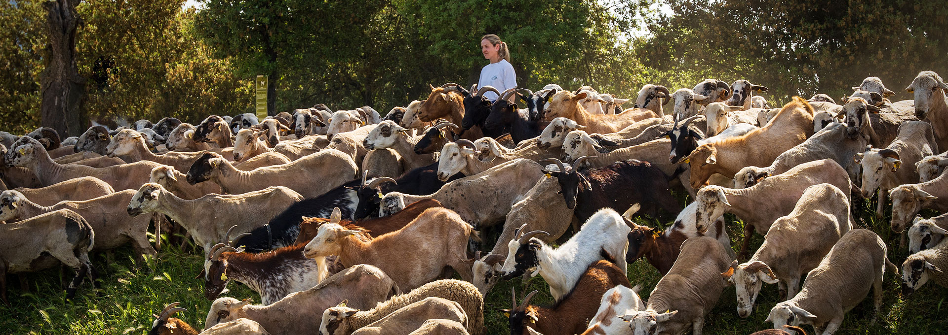 Maria Carme Plana, Can Plana. PATXI URIZ | DIPUTACIÓ DE BARCELONA
