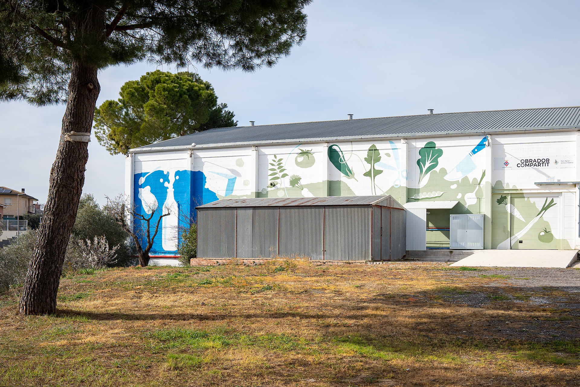 PATXI URIZ | DIPUTACIÓ DE BARCELONA