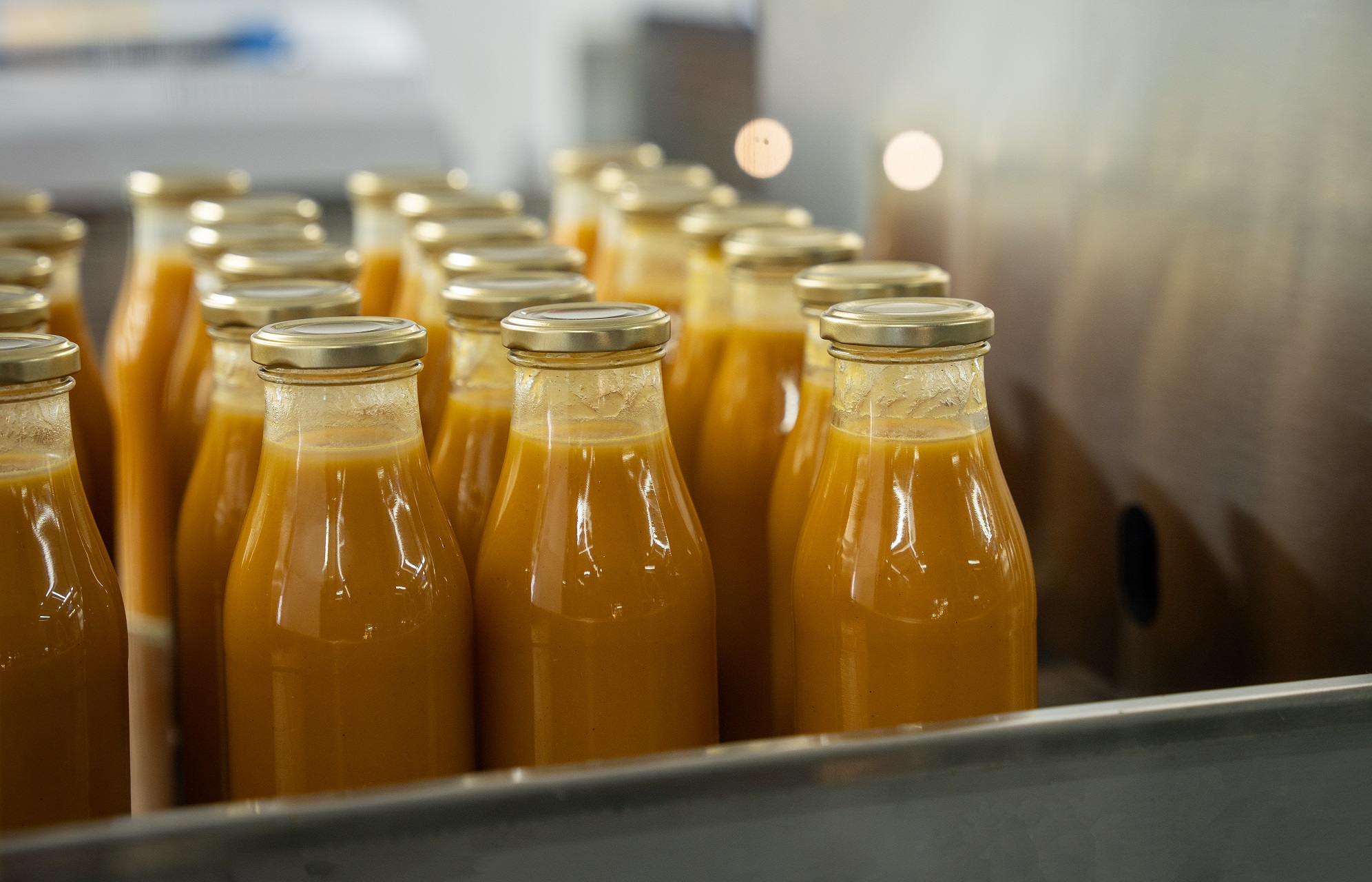 PATXI URIZ | DIPUTACIÓ DE BARCELONA