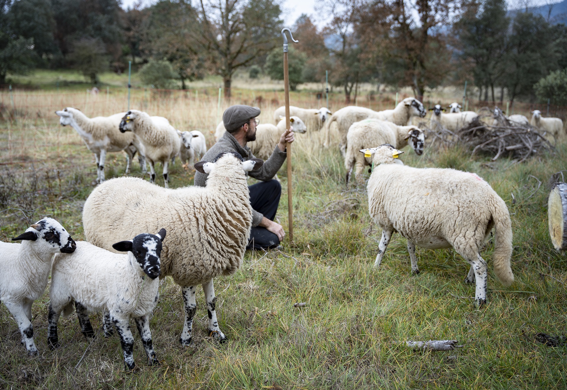 Mas les Vinyes, St. Martí d'Albars. PATXI URIZ | DIPUTACIÓ DE BARCELONA