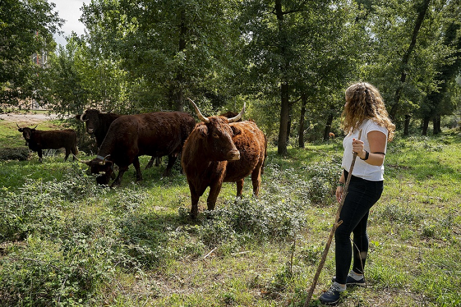 Monica Soler, Masiets & Perich. PATXI URIZ | BARCELONA PROVINCIAL COUNCIL