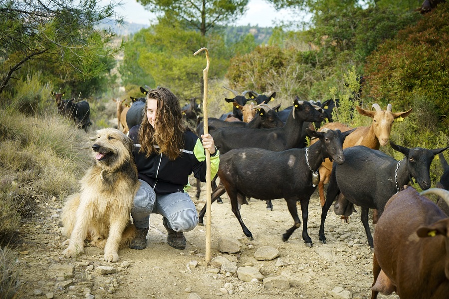 Valentina Muñoz, Artelac. PATXI URIZ | BARCELONA PROVINCIAL COUNCIL