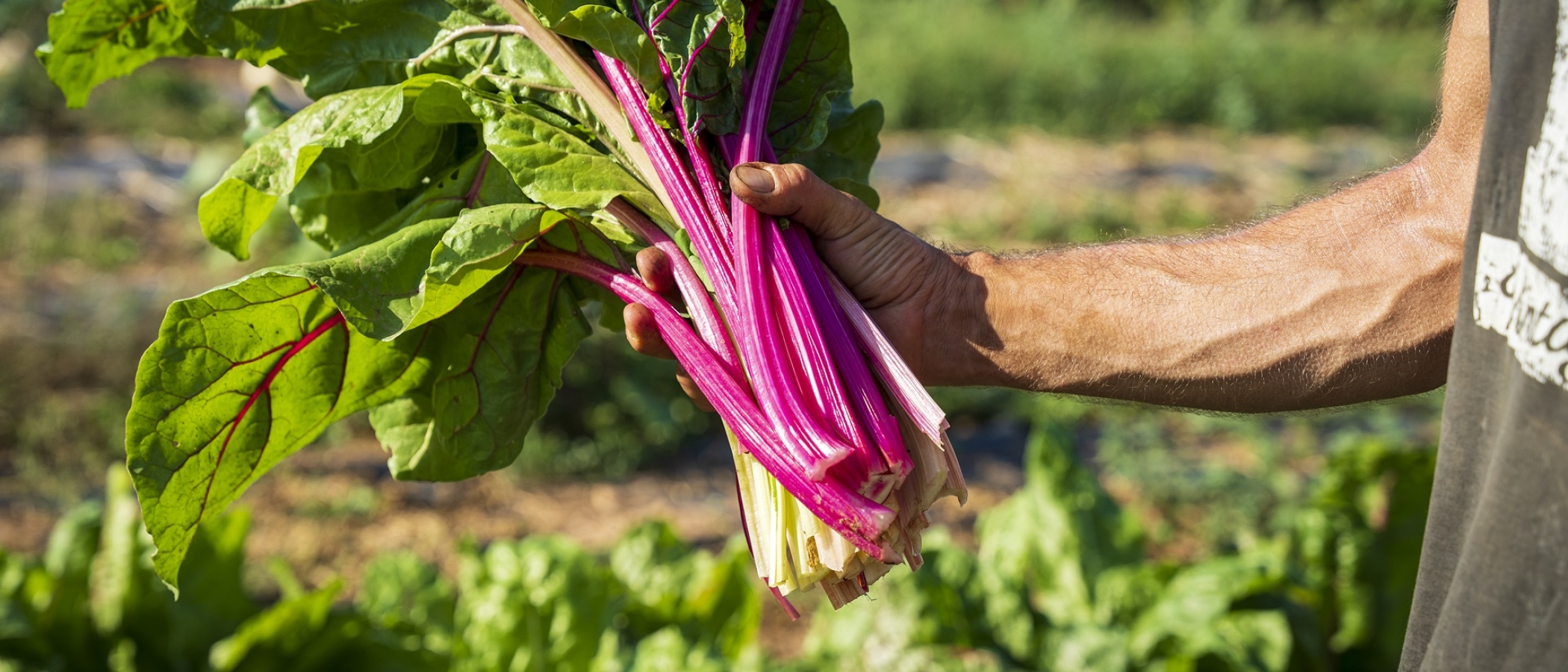 PATXI URIZ | DIPUTACIÓ DE BARCELONA