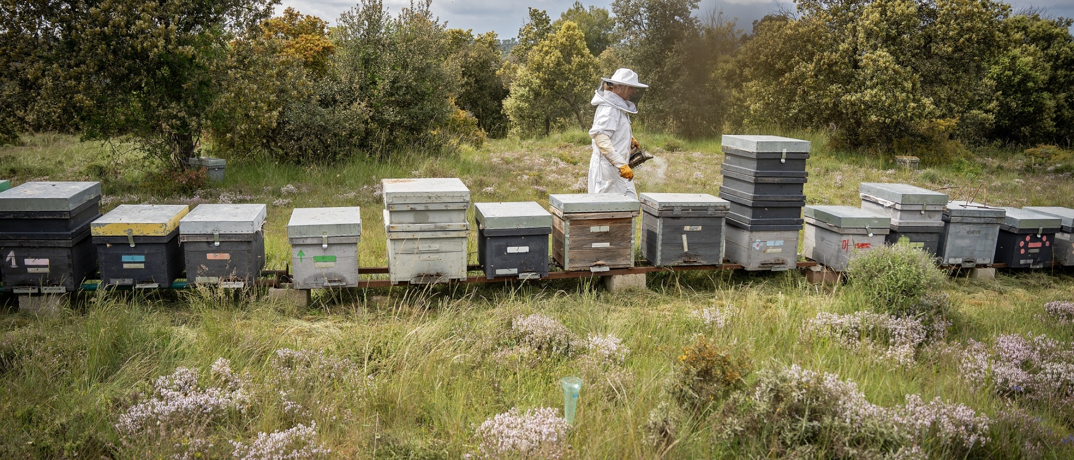 Ester Garriga, Mels Cal Pastoret.  PATXI URIZ | DIPUTACIÓ DE BARCELONA