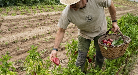 Pere Calafell, Horta Can Calafell. PATXI URIZ | DIPUTACIÓ DE BARCELONA