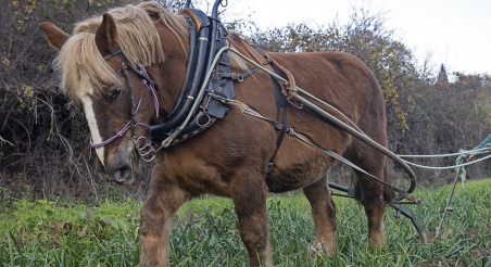 Pol Dunyó, El Mosaic. PATXI URIZ | DIPUTACIÓ DE BARCELONA