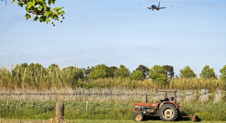 Parc Agrari del Baix Llobregat. PATXI URIZ | DIPUTACIÓ DE BARCELONA