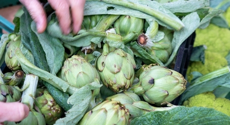 Mercat de Blanes, Blanes. PATXI URIZ | DIPUTACIÓ DE BARCELONA