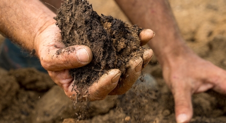 L'Hort d'en Dídac, Mataró. PATXI URIZ | DIPUTACIÓ DE BARCELONA