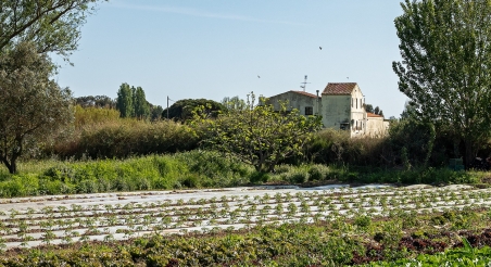 Camps, Prat de Llobregat. PATXI URIZ | DIPUTACIÓ DE BARCELONA