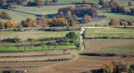 Paisatge en mosaic a Moià. PATXI URIZ | DIPUTACIÓ DE BARCELONA