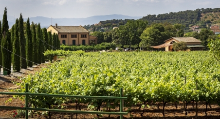 Celler a Santa Maria de Martorelles. PATXI URIZ | DIPUTACIÓ DE BARCELONA