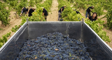 Celler Parés Baltà. PATXI URIZ | DIPUTACIÓ DE BARCELONA