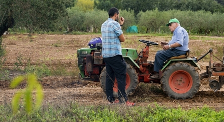 Camps de conreu a Esparreguera. PATXI URIZ | DIPUTACIÓ DE BARCELONA