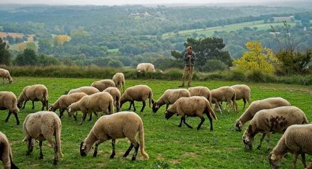 Dirk Madriles, La Ginebreda. PATXI URIZ | DIPUTACIÓ DE BARCELONA