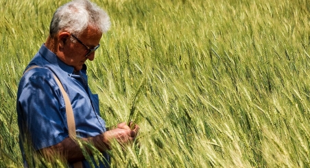 Salvi Safont, Can Salvi. PATXI URIZ | DIPUTACIÓ DE BARCELONA