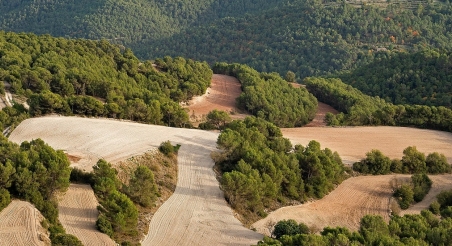Paisatge en mosaic al Parc Agrari de la Conca d'Òdena. PATXI URIZ | DIPUTACIÓ DE BARCELONA