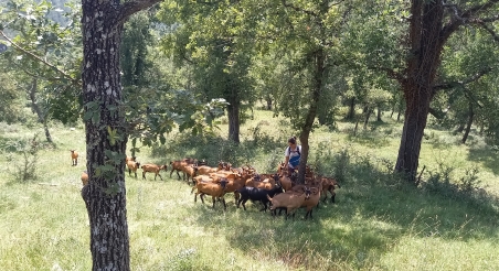 Abril Ibáñez. ELI CLOTA | ASSOCIACIÓ LEADER RIPOLLÈS GES BISAURA