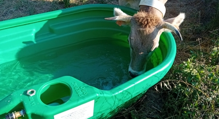 Abeuradors a l'explotació agrícola Valldan