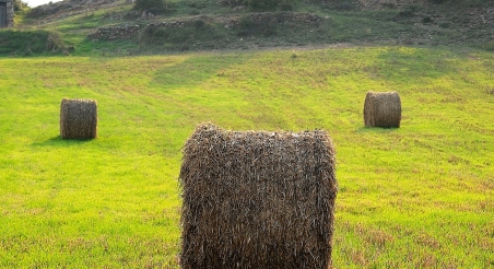 Parc Agrari de la Conca d’Òdena. PATXI URIZ | DIPUTACIÓ DE BARCELONA