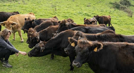 Mercè Oms, La Casanova de Sora