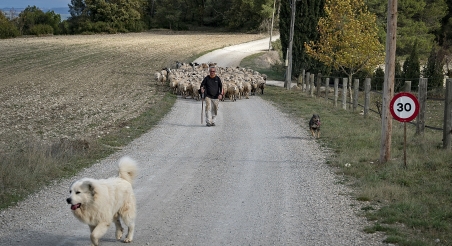Josep Maria Taixé, Cal Serrats. PATXI URIZ | DIPUTACIÓ DE BARCELONA