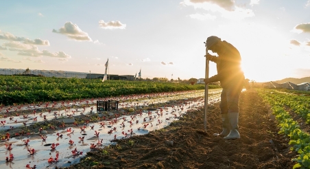 Espai Agrari de la Baixa Tordera. PATXI URIZ | DIPUTACIÓ DE BARCELONA