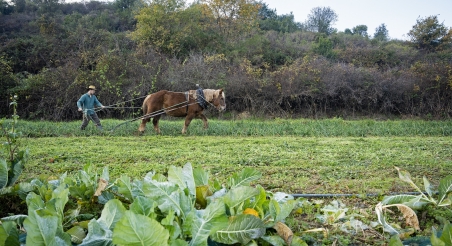 Pol Dunyó, El Mosaic. PATXI URIZ | DIPUTACIÓ DE BARCELONA