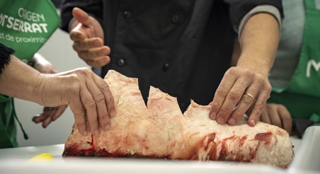 Formació al Parc Rural del Montserrat. PATXI URIZ | DIPUTACIÓ DE BARCELONA