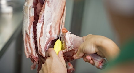 Formació al Tall. PATXI URIZ | DIPUTACIÓ DE BARCELONA