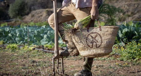 Hort del Puig. PATXI URIZ | DIPUTACIÓ DE BARCELONA