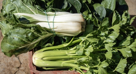 Verdures de l'Espai Agrari de la Baixa Tordera. PATXI URIZ | DIPUTACIÓ DE BARCELONA