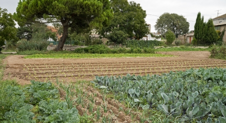 Horta Can Calafell, Manresa. PATXI URIZ | DIPUTACIÓ DE BARCELONA
