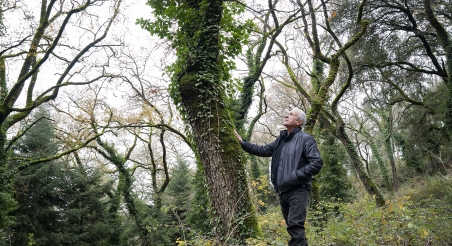 Melcior Montaner, propietari forestal. PATXI URIZ | DIPUTACIÓ DE BARCELONA