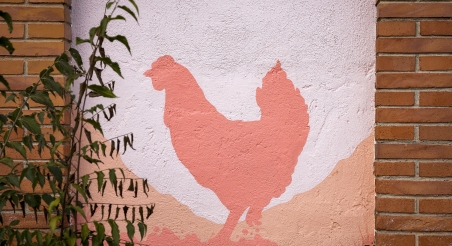 El Tall, Parc Rural del Montserrat. PATXI URIZ | DIPUTACIÓ DE BARCELONA