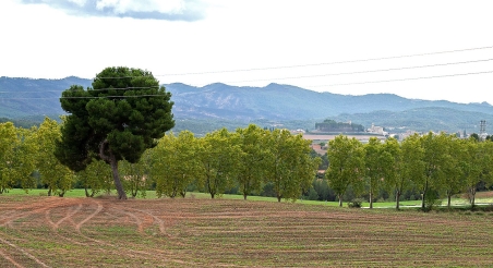 Santa Margarida de Montbui. PATXI URIZ | DIPUTACIÓ DE BARCELONA