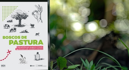 Publicació digital ’Boscos de pastura‘. DUPLEX CREATIVITY