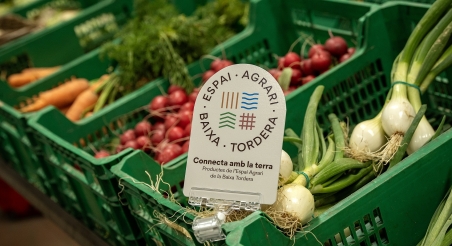 PATXI URIZ | DIPUTACIÓ DE BARCELONA